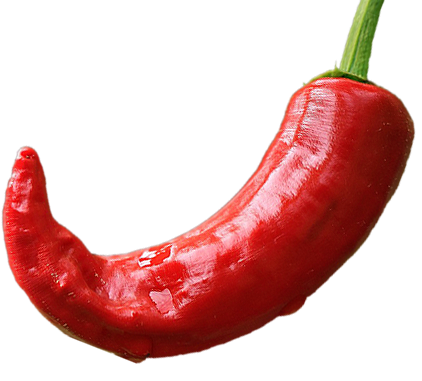 red pepper